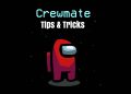 Among Us Crewmate Role Guide