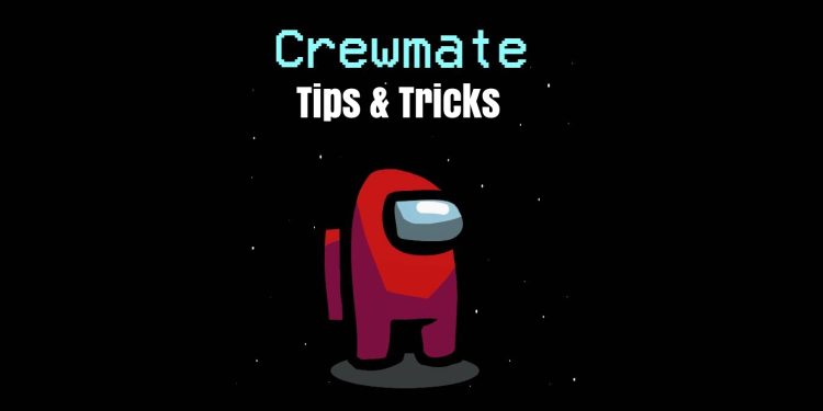 Among Us Crewmate Role Guide